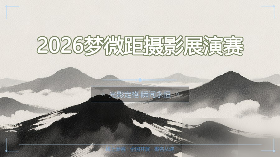 2026梦微距摄影展演赛